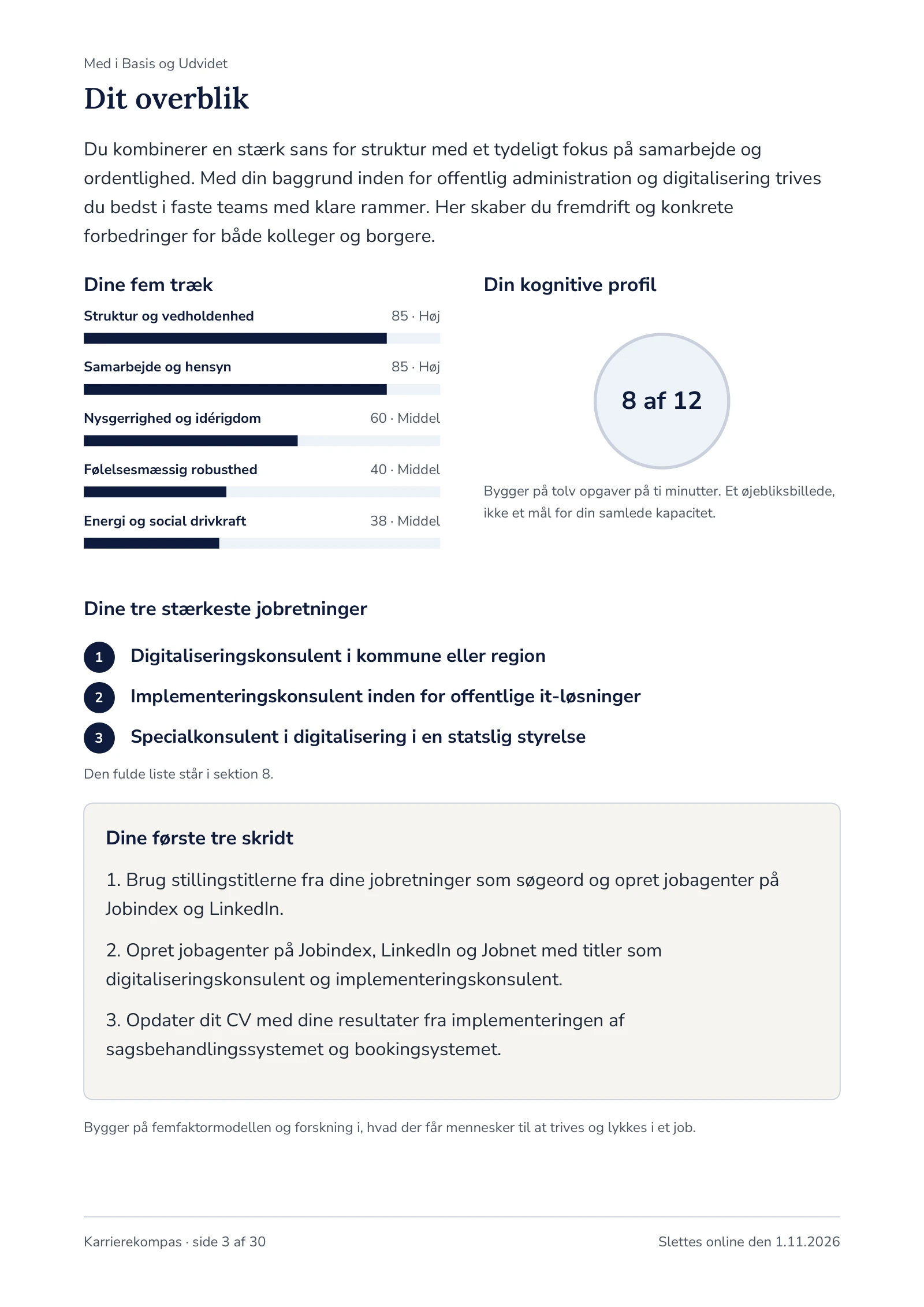 Siden Dit overblik i en eksempelrapport
